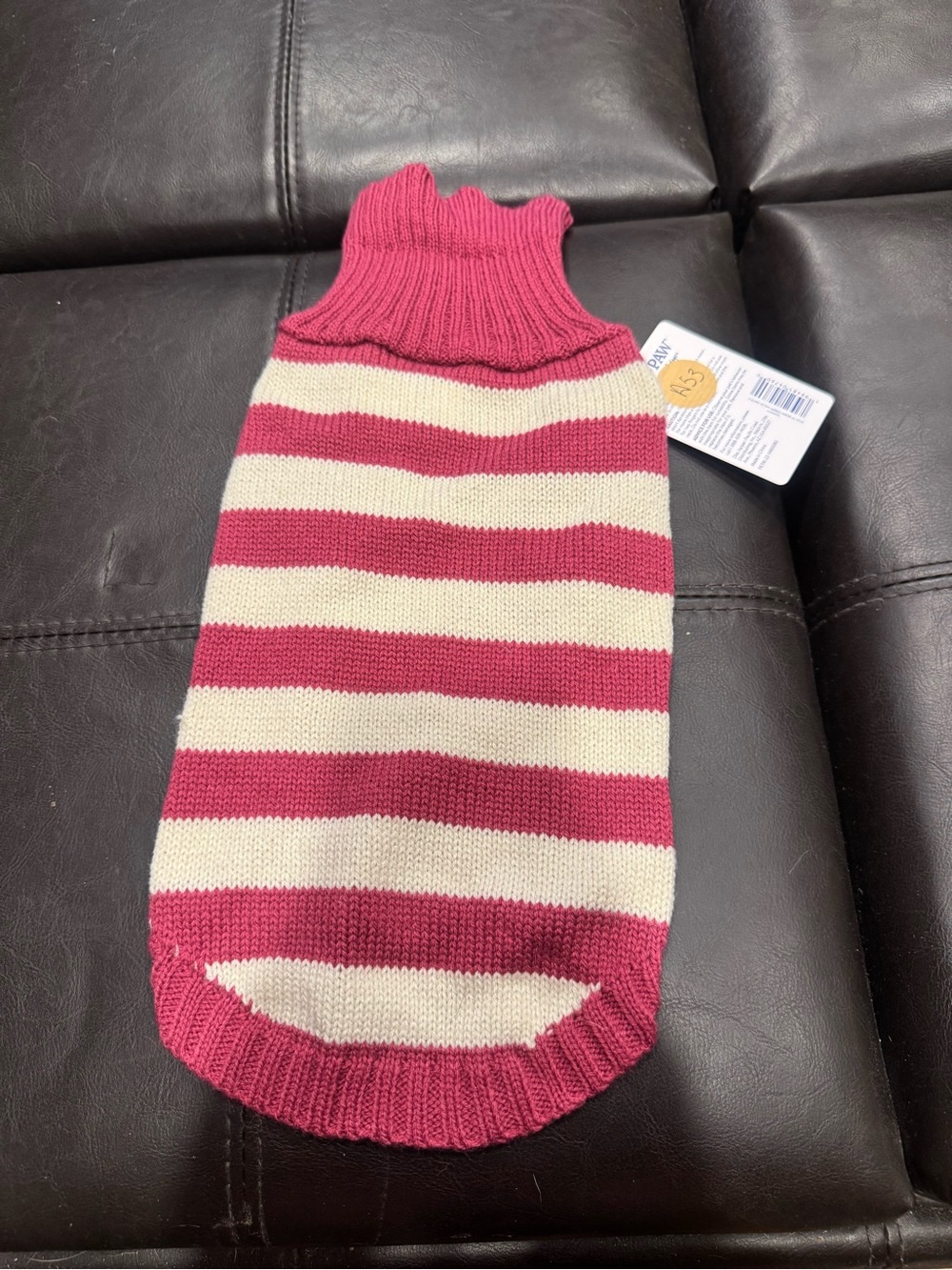 Dog Clothing - Set of 3